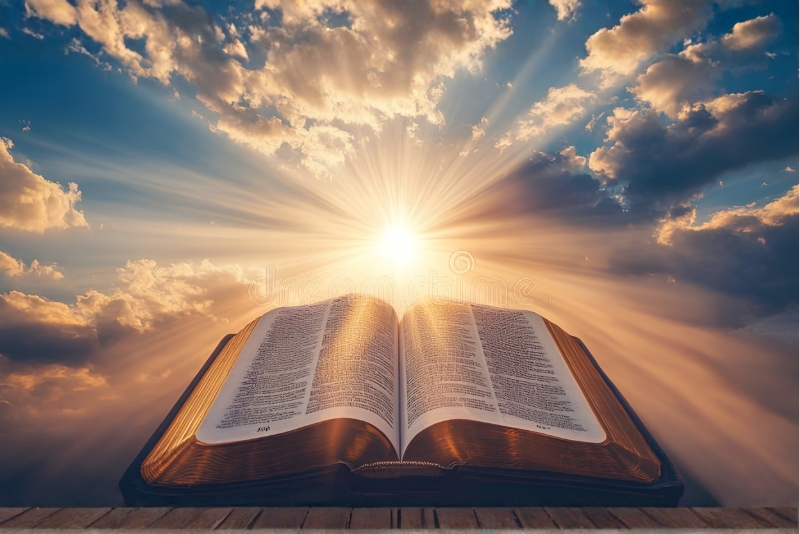 open bible bsm